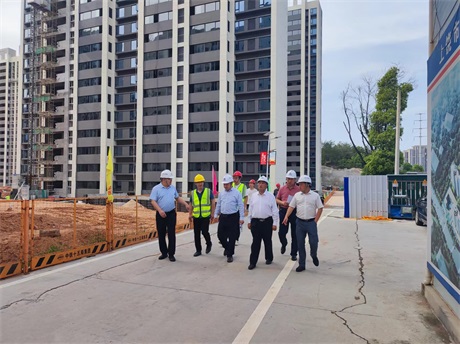 上投集團外部董事調研集團在建重點項目